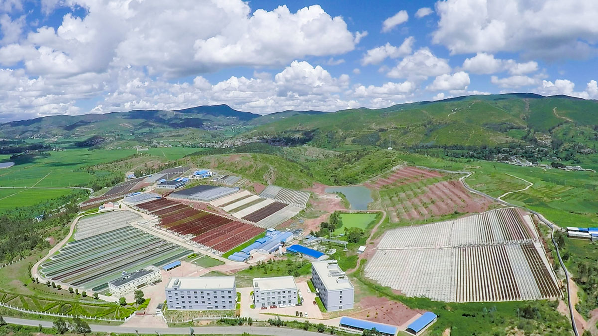 Principal manufacturing capacities of Yunnan Alphy Biotech Co., Ltd for the cultivation of Green Microalgae and extraction of Astaxanthin